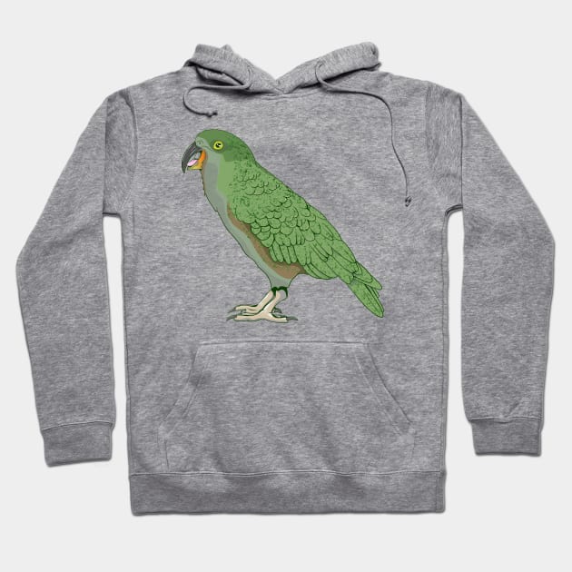 kea New Zealand Bird Hoodie by mailboxdisco